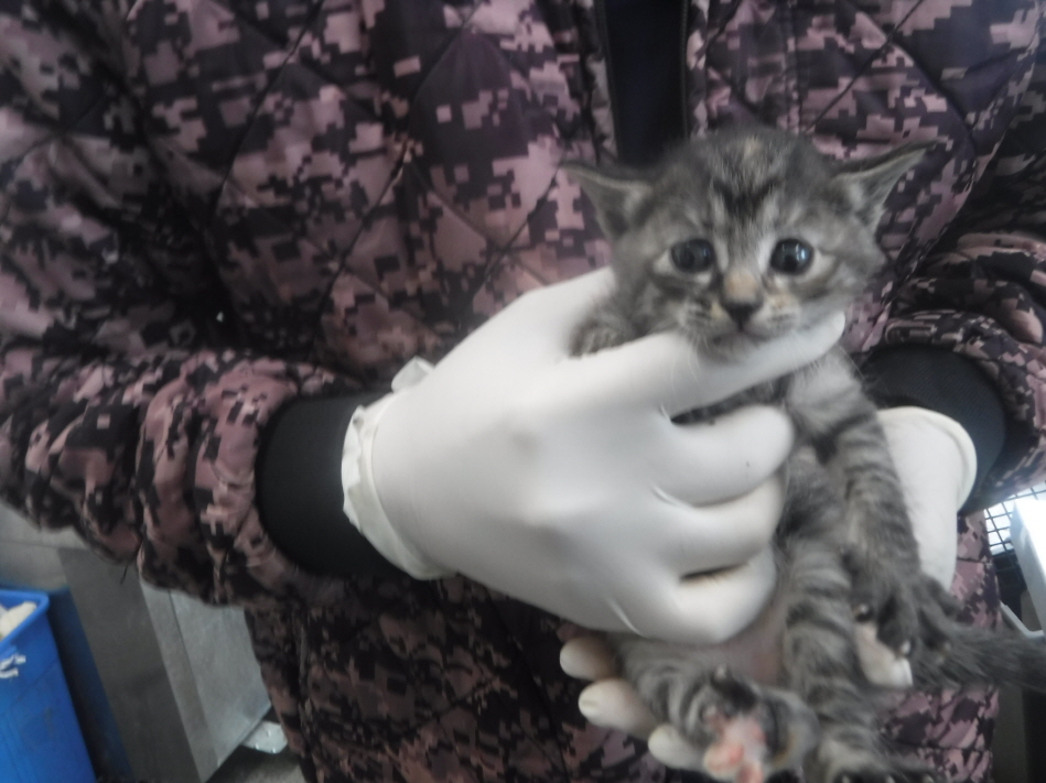 제주 동물보호센터_450650202300834